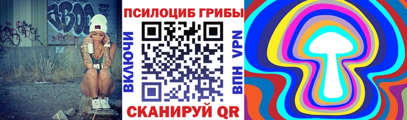 где можно купить   Дюртюли  Псилоцибиновые грибы Psilocybe 