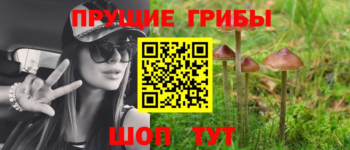 Дюртюли  даркнет сайт  Вход с VPN  Галлюциногенные грибы Cubensis 